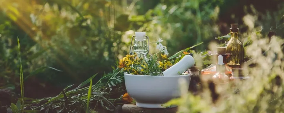 Praticien de santé naturelle